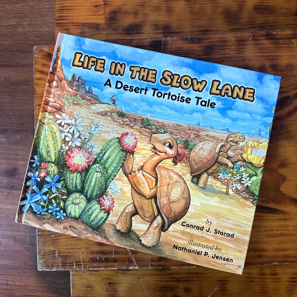 Life In The Slow Lane A Desert Tortoise Tale Hardcover Book